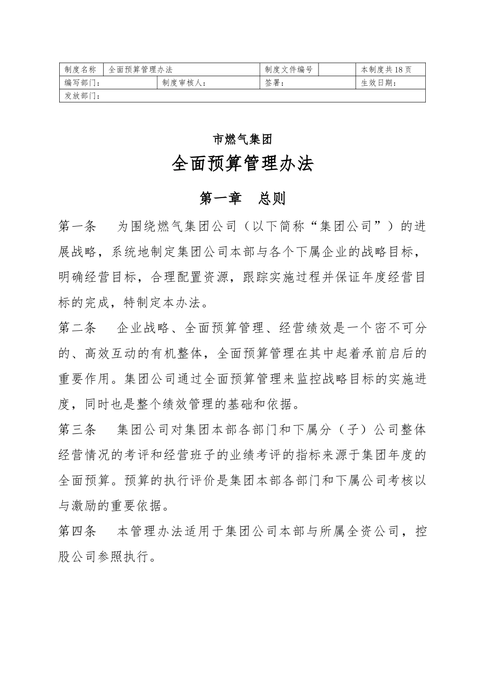 某集团全面预算管理办法_第1页