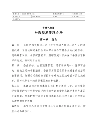 某集团全面预算管理办法