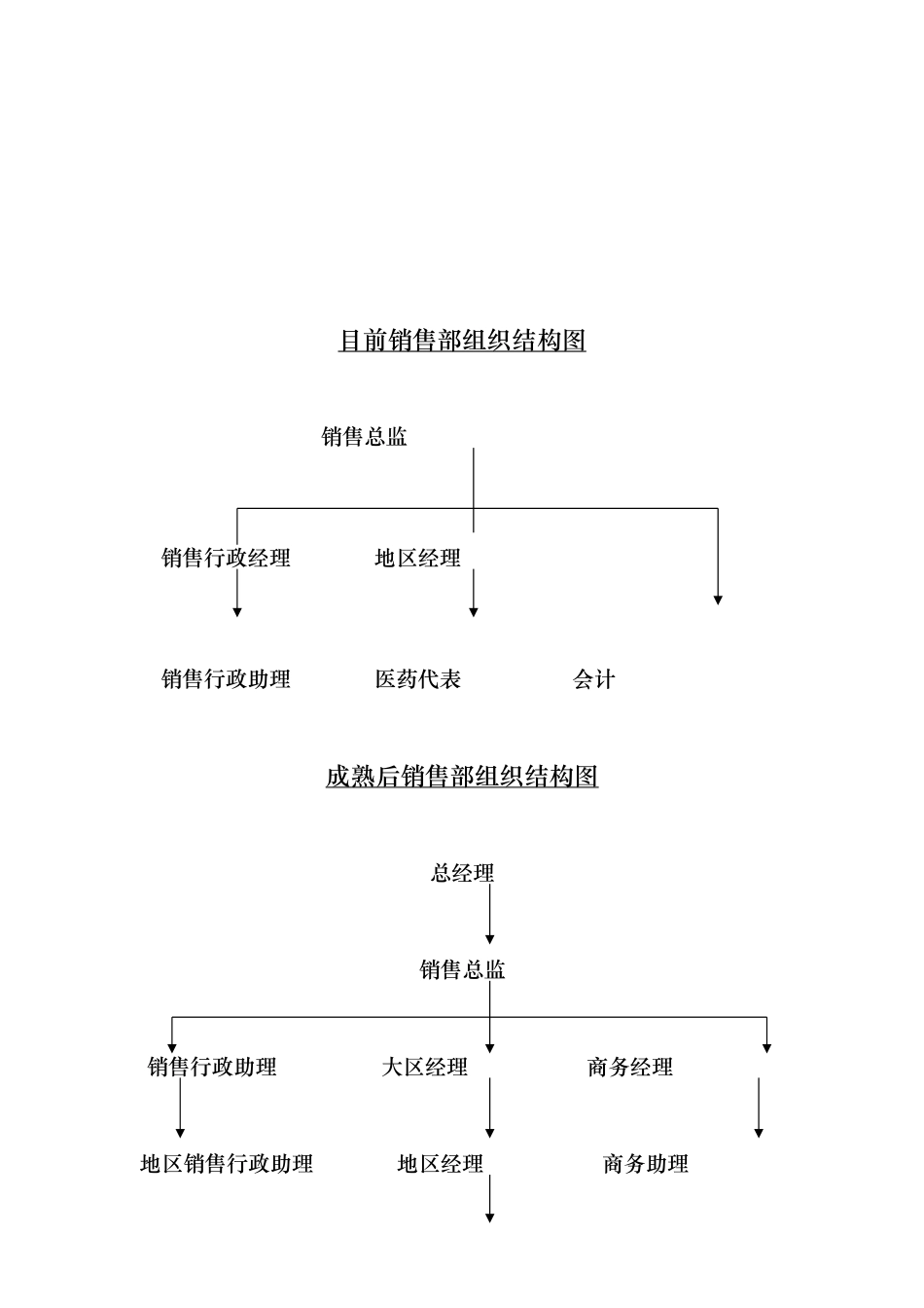 某集团处方药部销售管理制度分析报告_第3页