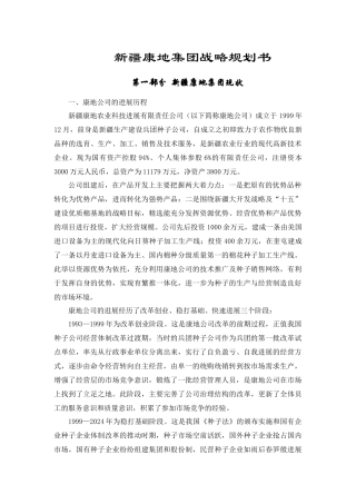 某集团战略规划书