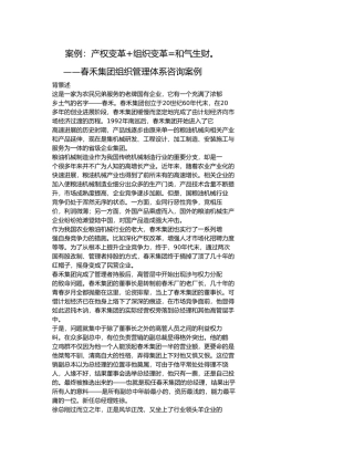 某集团组织管理体系咨询案例