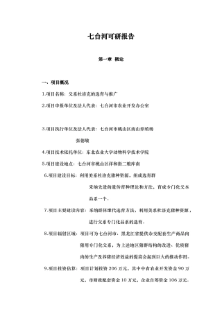 某项目可行性实施计划书