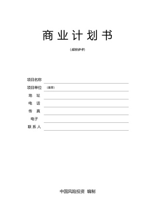 某风险投资公司商业实施计划书