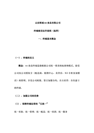 某食品有限公司终端建设运作流程草案