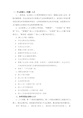 核心人才保留计划