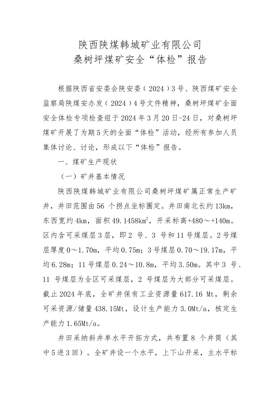 桑树坪煤矿安全体检报告_第1页