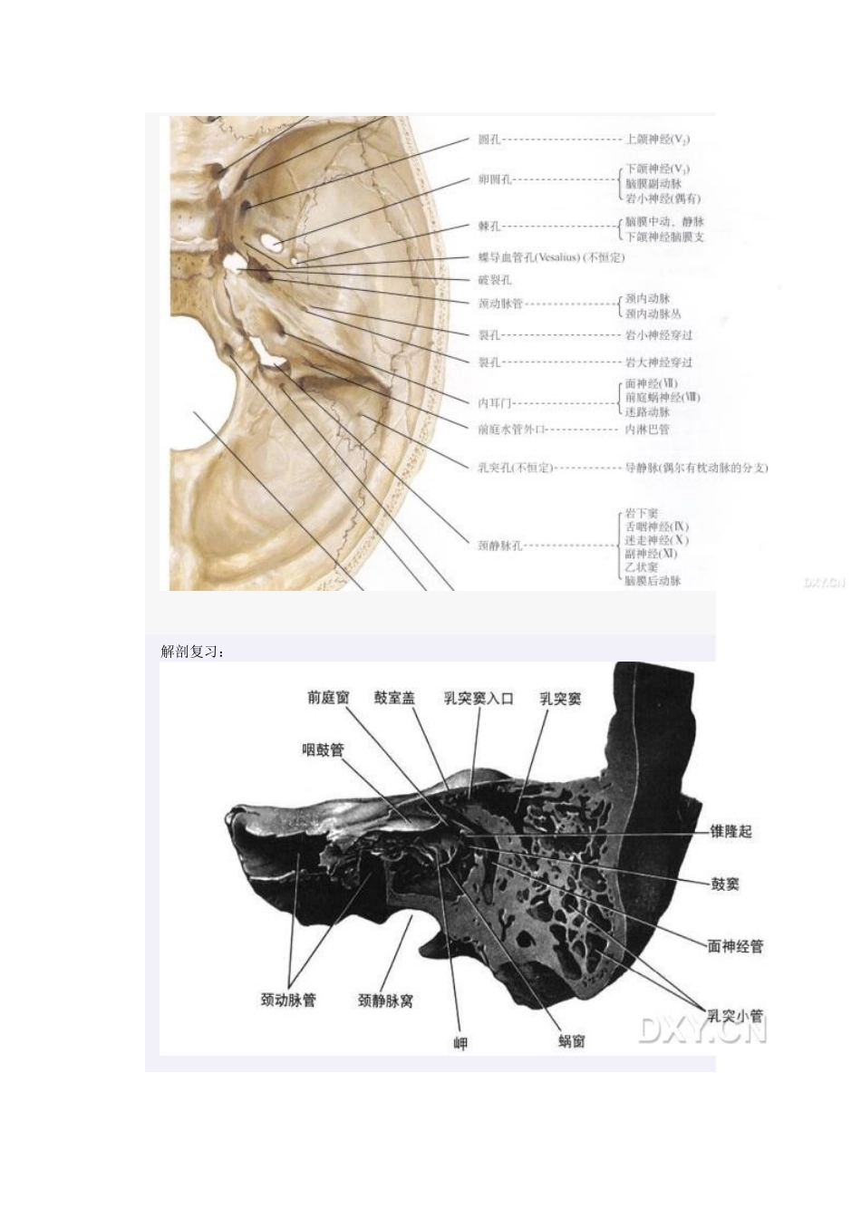 桥小脑角区占位性病变诊断与鉴别_第2页