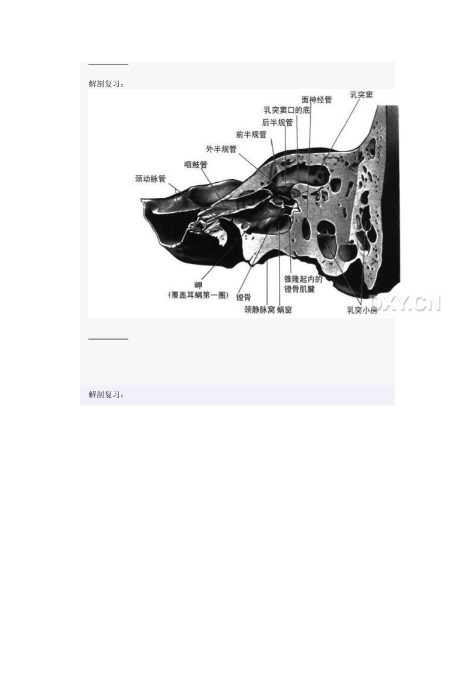 桥小脑角区占位性病变诊断与鉴别_第3页