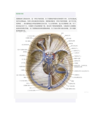 桥小脑角区占位性病变诊断与鉴别