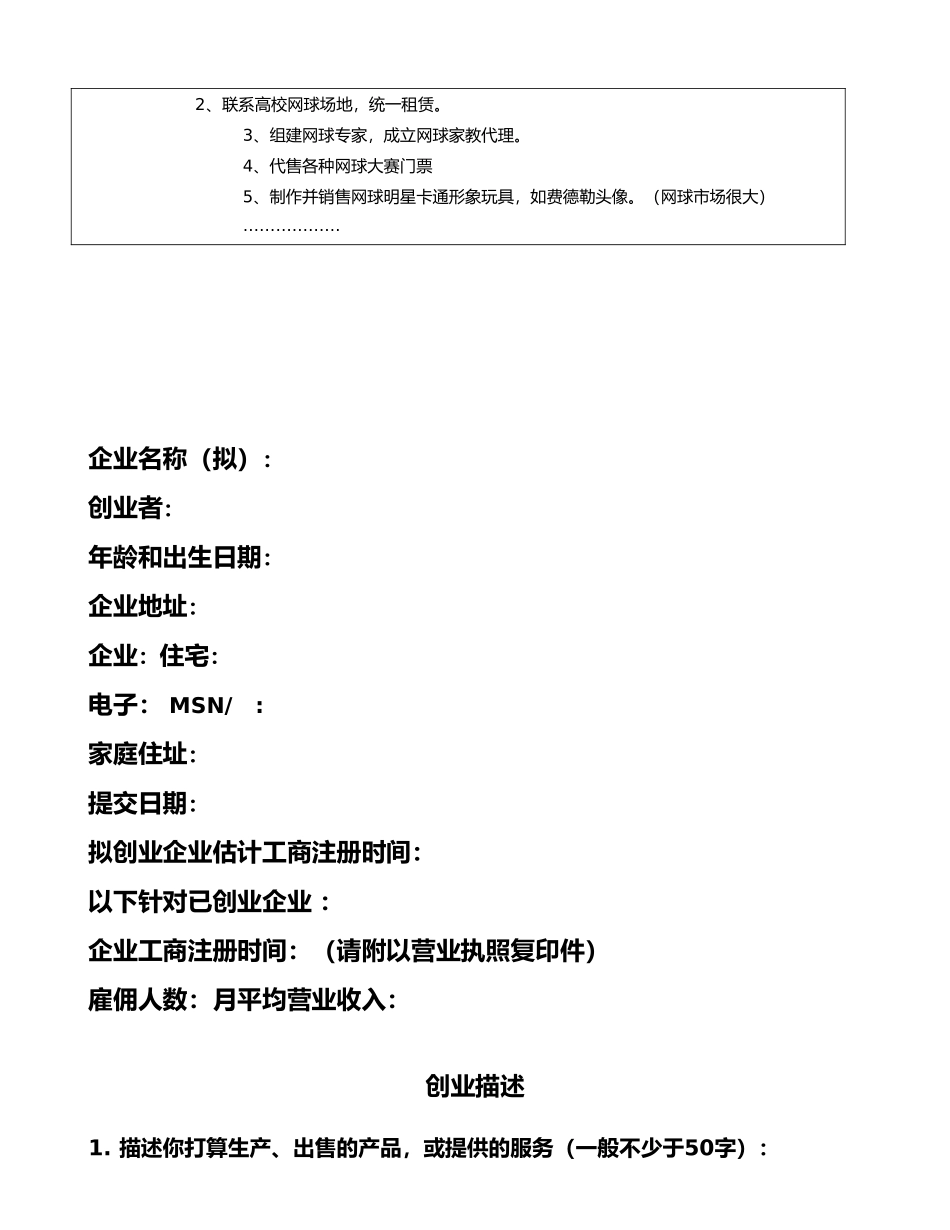 梦想基金网球大赛的商业实施计划书_第2页
