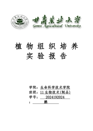 植物组织培养实验报告