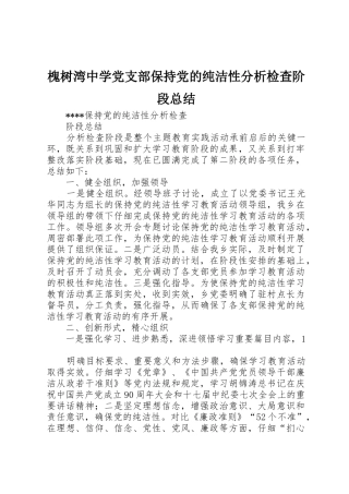 槐树湾中学党支部保持党的纯洁性分析检查阶段总结