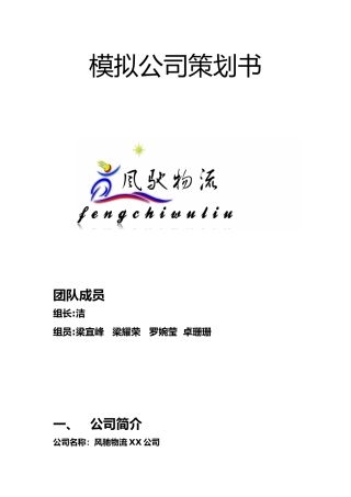 模拟公司项目策划书