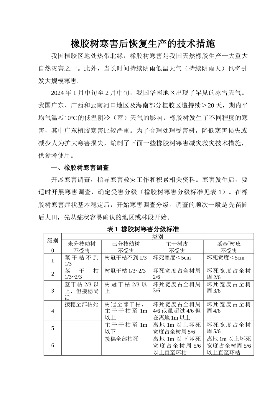 橡胶树寒害后恢复生产的技术措施_第1页