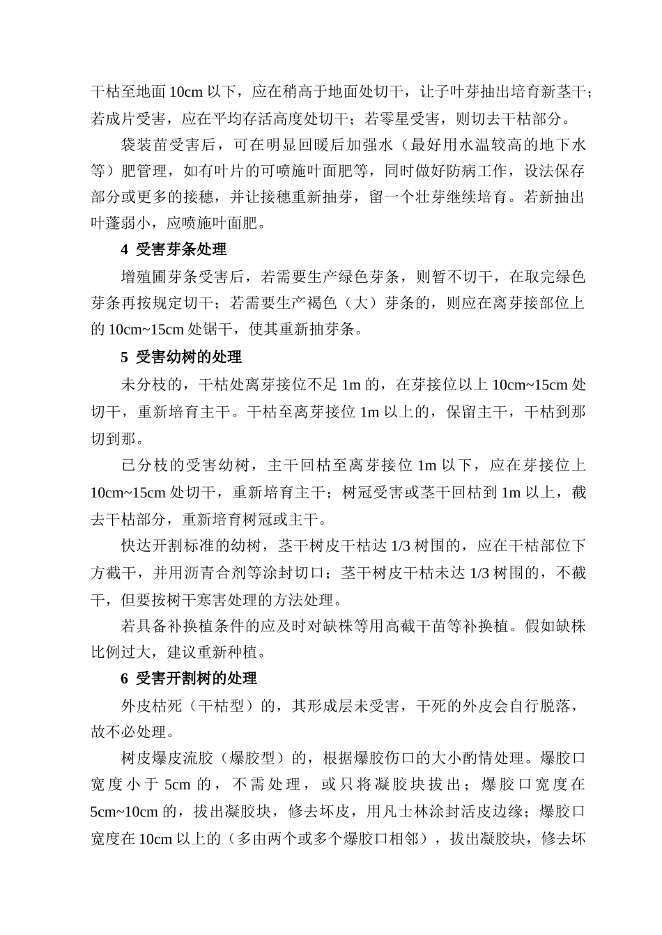 橡胶树寒害后恢复生产的技术措施_第3页