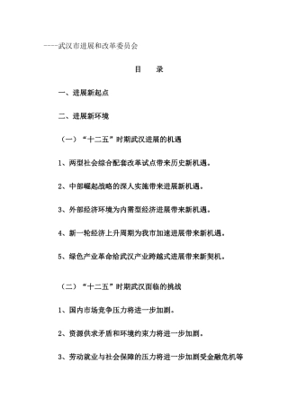 武汉市“十二五”规划发展思路