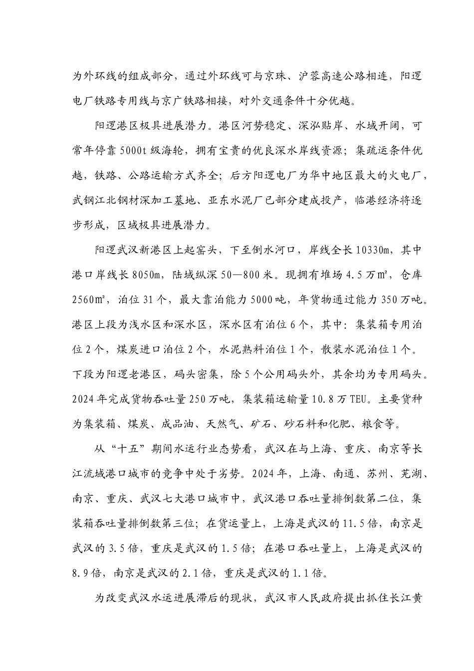 武汉某项目可行性研究报告_第3页