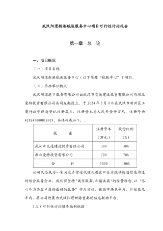 武汉某项目可行性研究报告