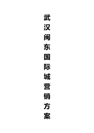 武汉闽东国际城商业地产营销方案