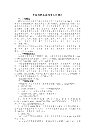 水利部稽查汇报材料文书