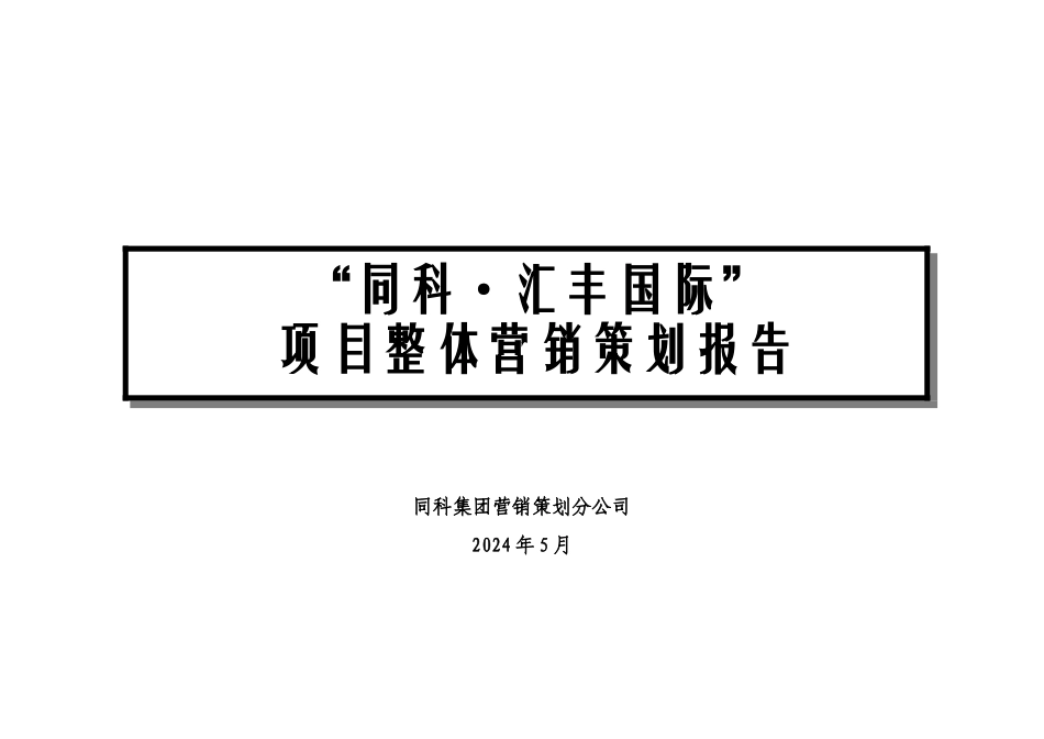 汇丰国际整体推广方案_第1页