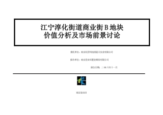 江宁淳化商业街B地块土地价值分析及市场前景研究46页