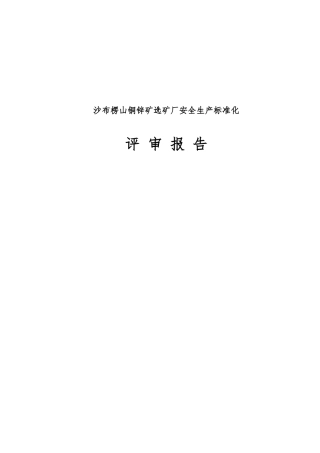 沙布楞山铜锌矿选矿厂安全生产标准化评审报告