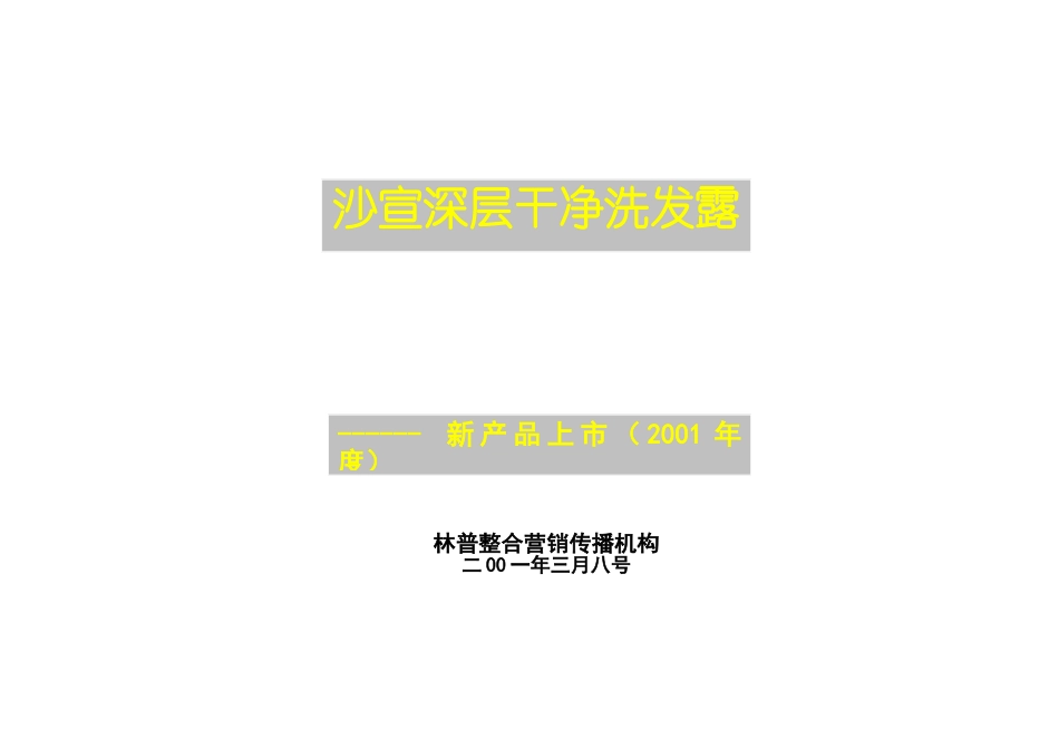 沙宣深层洁净洗发露上市策划实施方案书_第1页