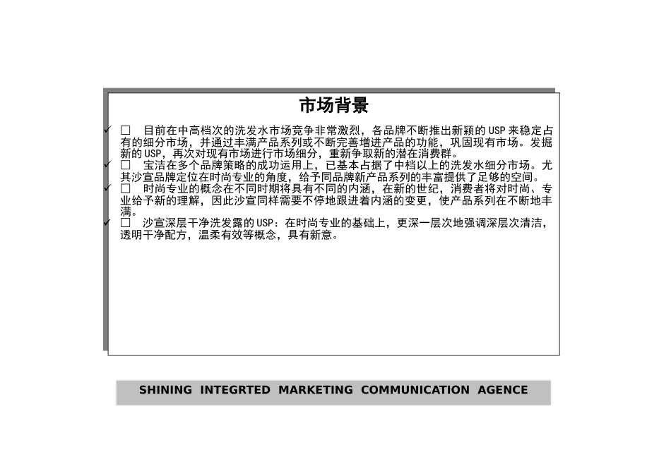 沙宣深层洁净洗发露上市策划实施方案书_第2页