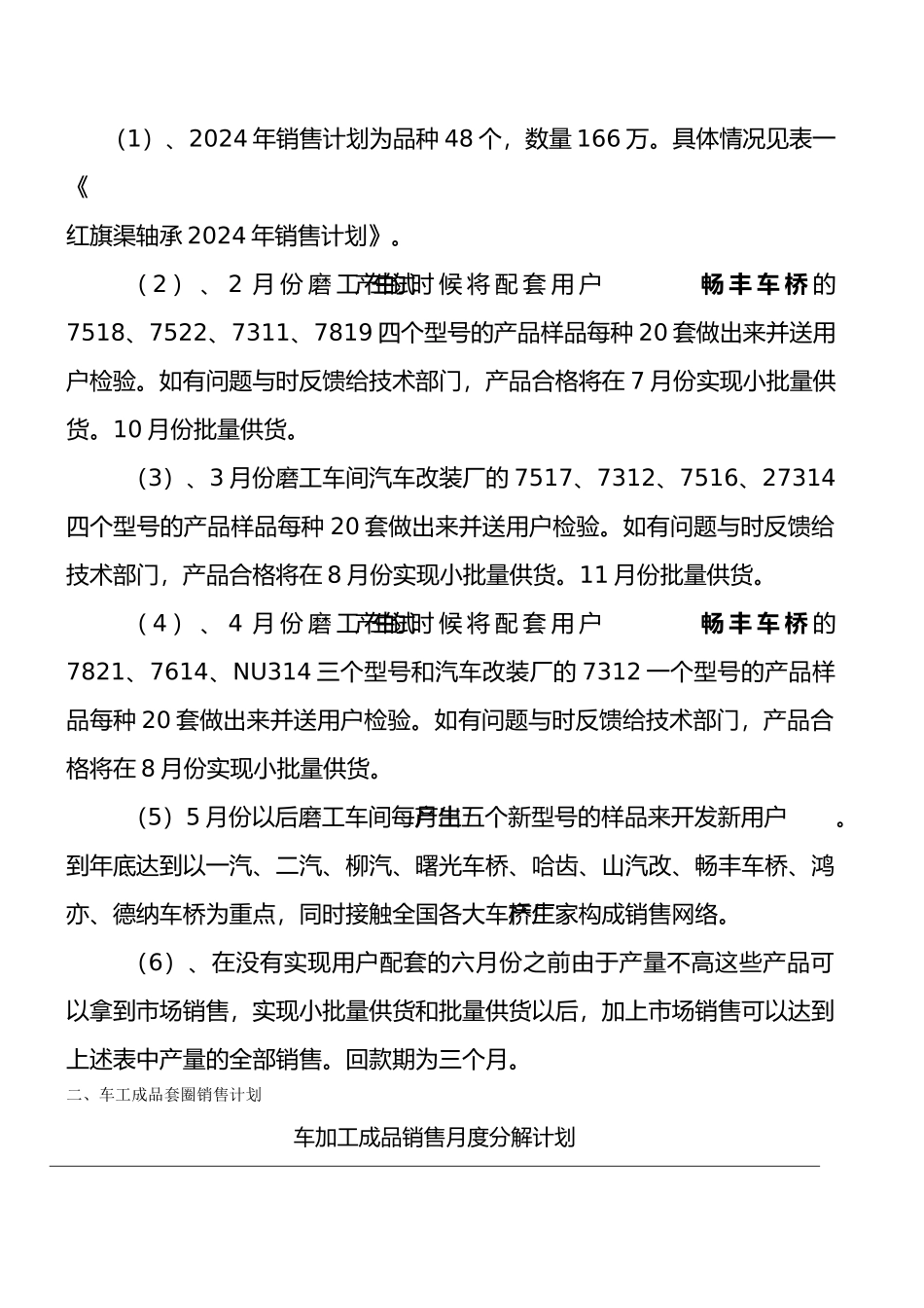河南某公司年度计划_第2页