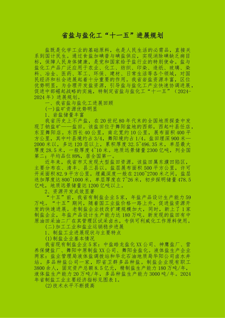 河南盐与盐化工发展规划报告_第1页