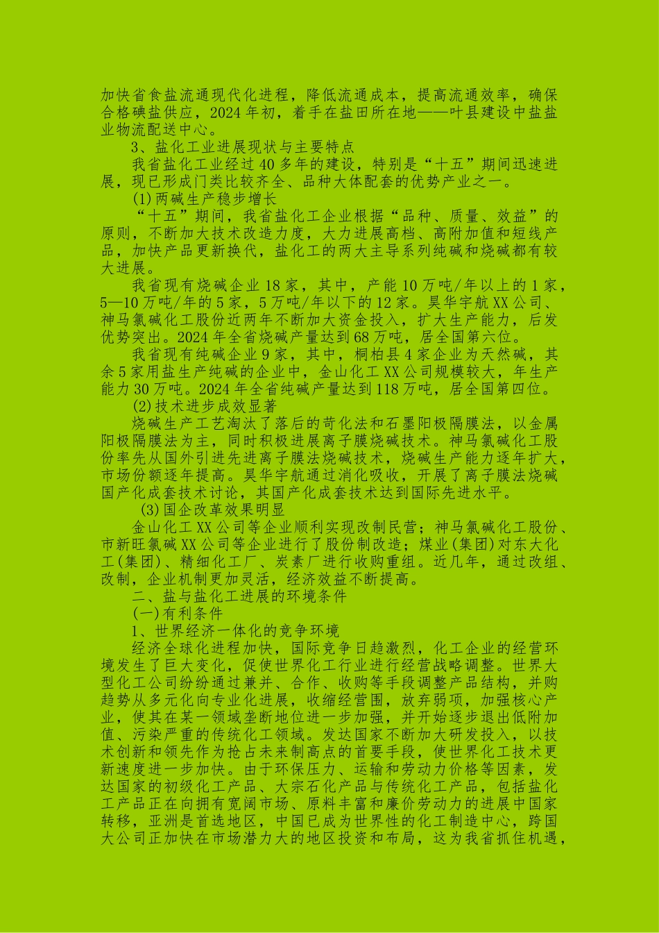 河南盐与盐化工发展规划报告_第3页