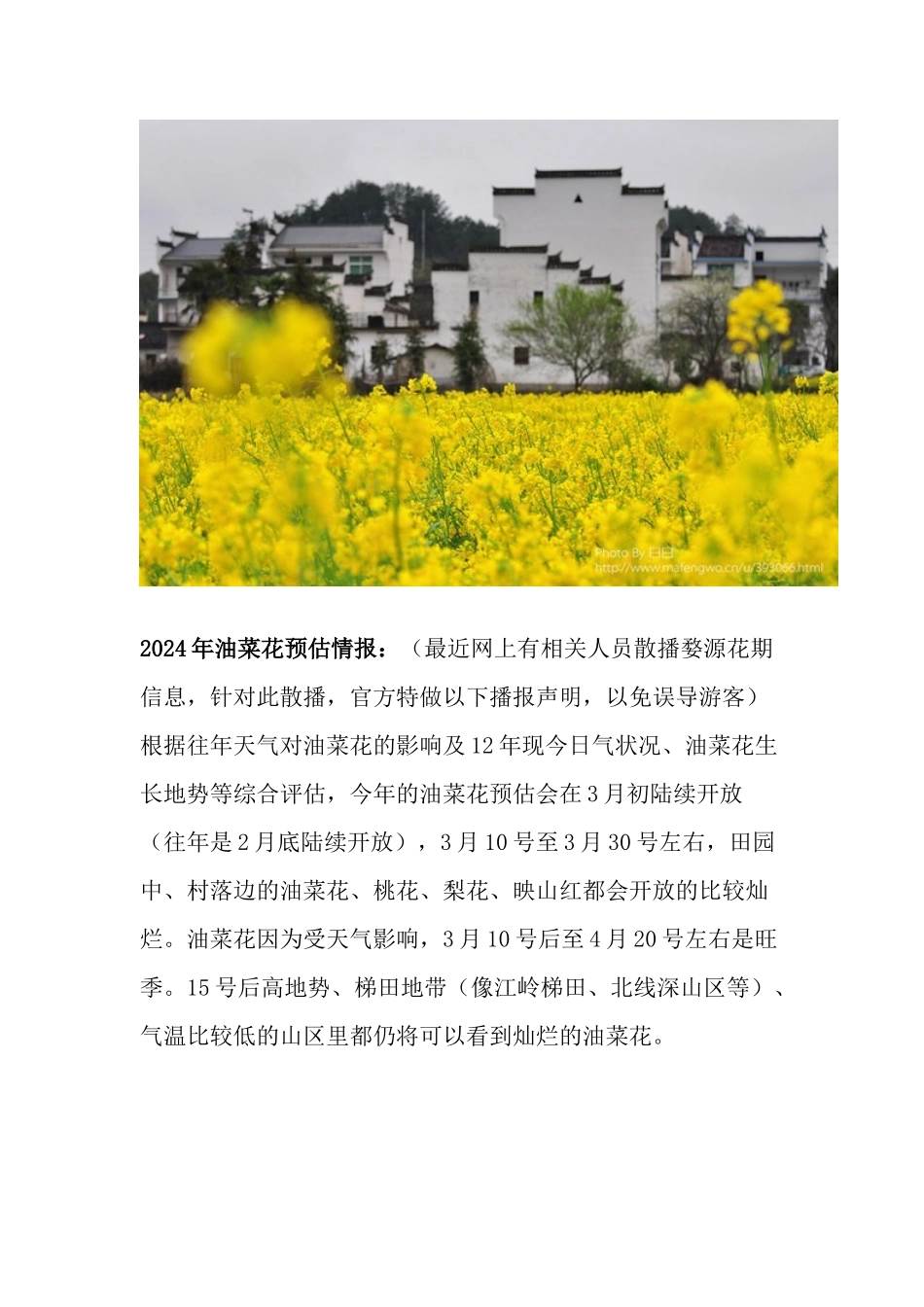 油菜花季婺源旅游全方位攻略_第2页