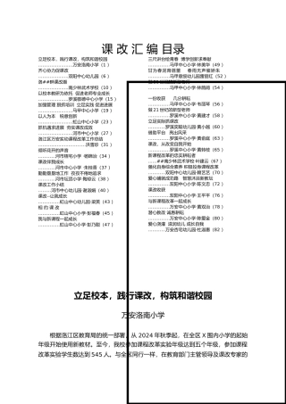 洛南小学实施课改四年来的工作计划总结