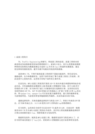 流量工程介绍与配置