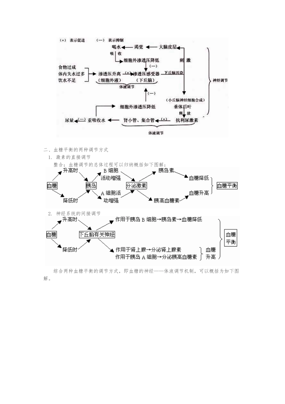 浅析下丘脑的结构和功能_第3页