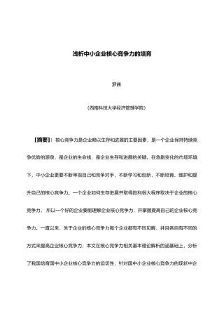 浅析中小企业核心竞争力的培育