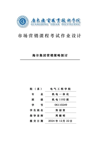 海尔集团营销策略探讨