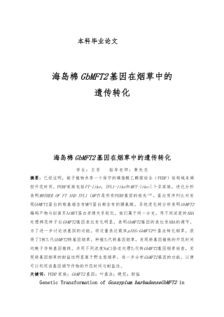 海岛棉GbMFT2基因在烟草中的遗传转化毕业论文