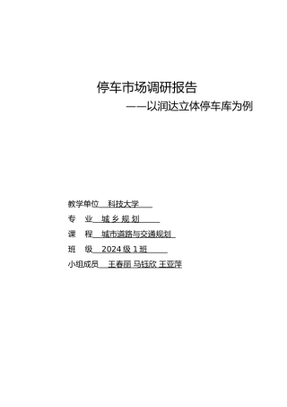 润达立体停车场调研报告书