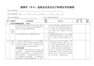 淄博市造纸企业安全标准化评审细则-XXXX0316
