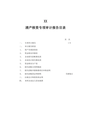 清产核资专项审计报告
