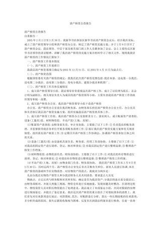 清产核资自查报告