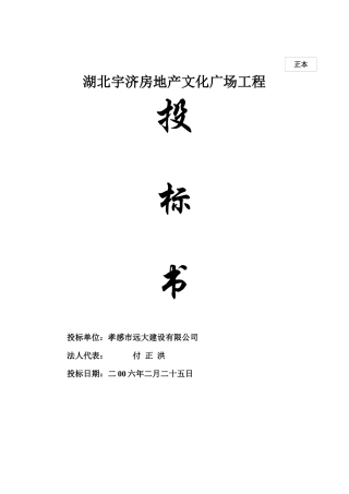 湖北宇济房地产文化广场工程投标书