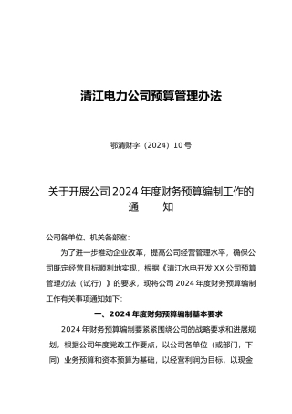 湖北某电力公司财务预算管理制度