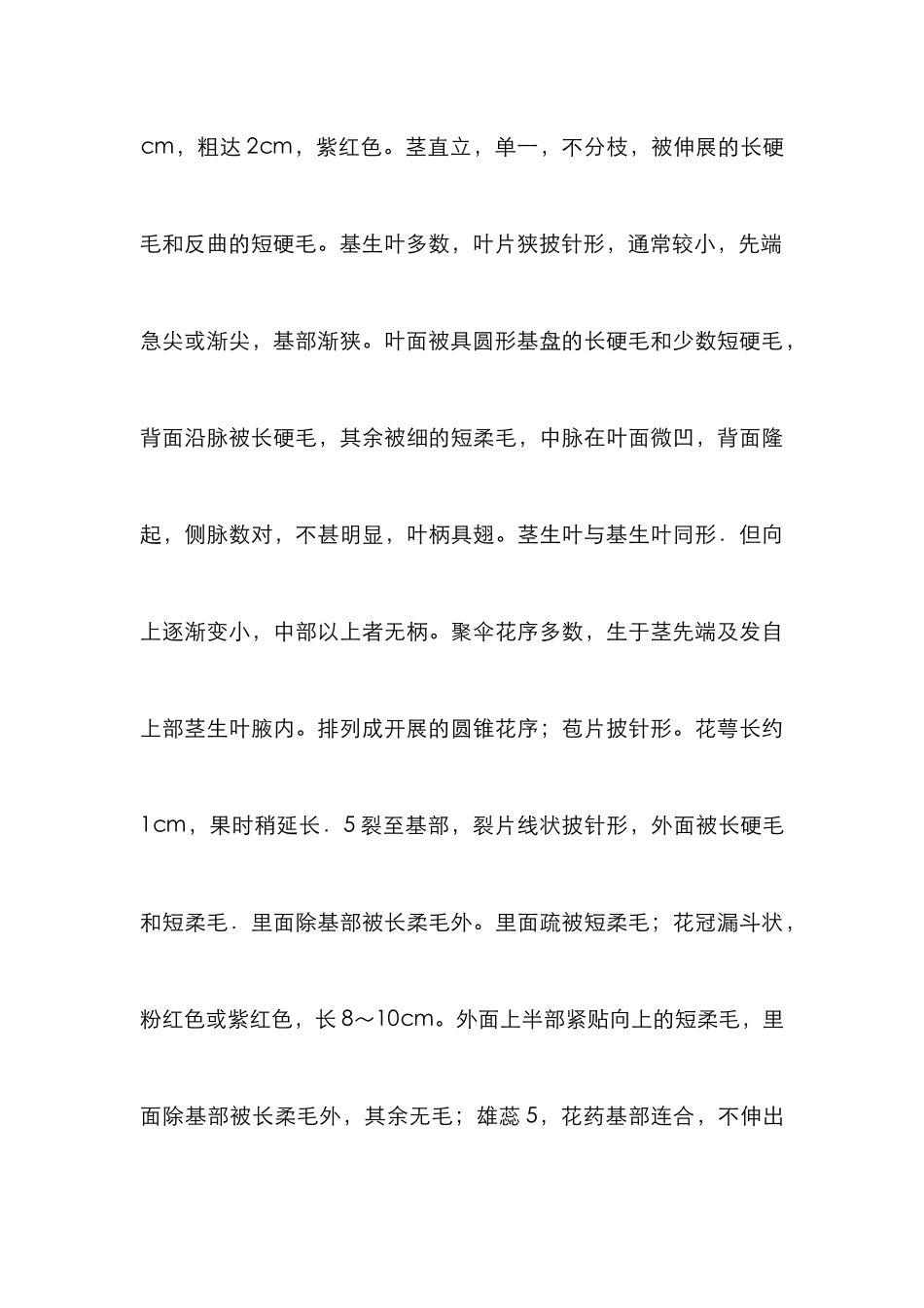 滇紫草生药学综述_第3页