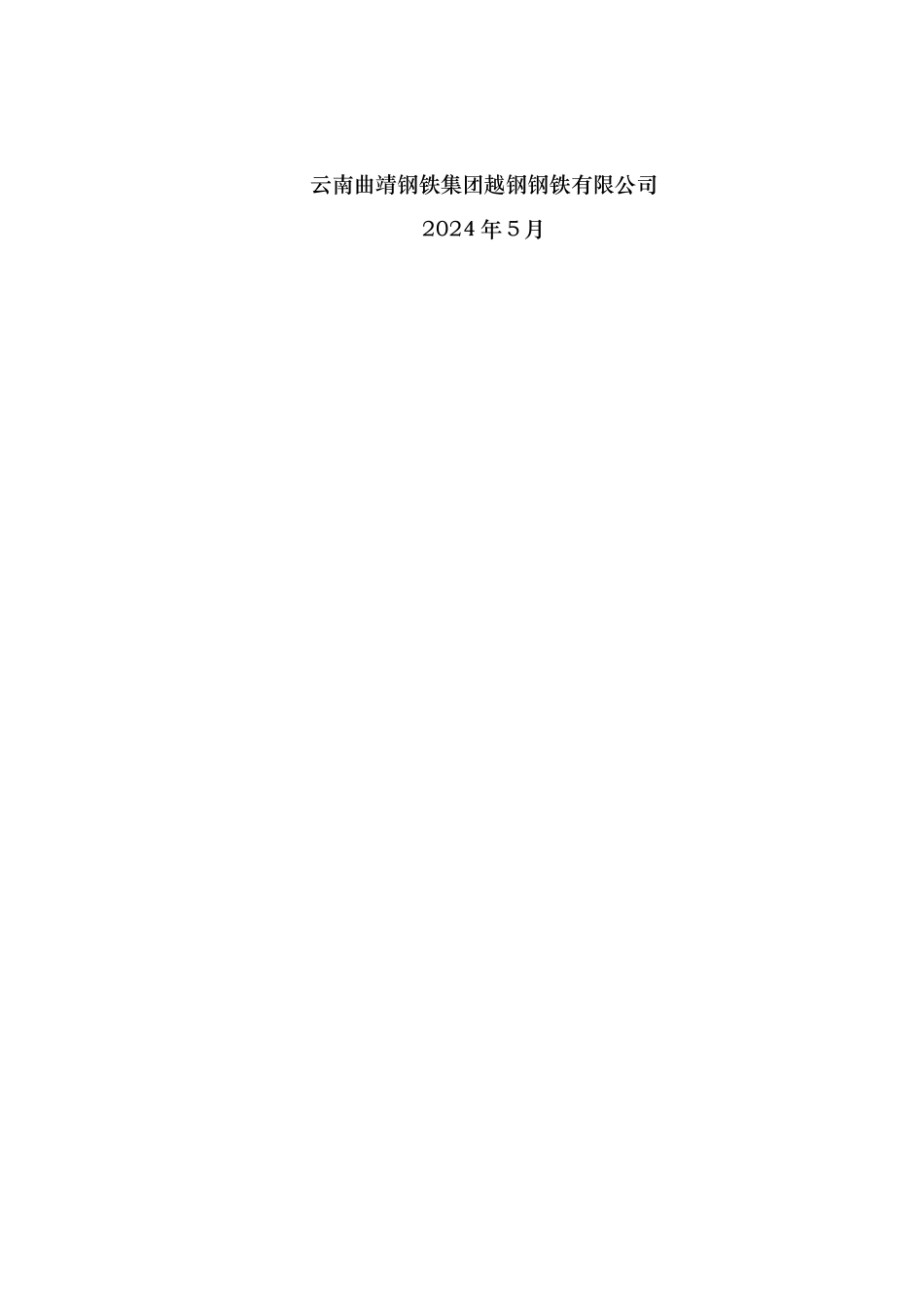 炼钢厂转炉炼钢生产安全事故应急救援预案_第2页