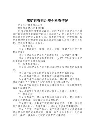 煤矿自查自纠安全检查情况