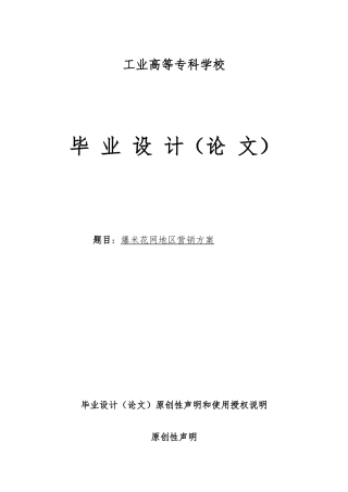 爆米花网北京地区营销方案毕业论文