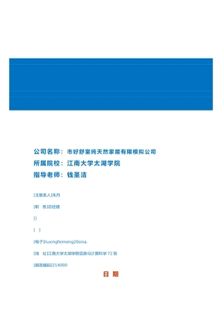 现代创业公司商业实施计划书
